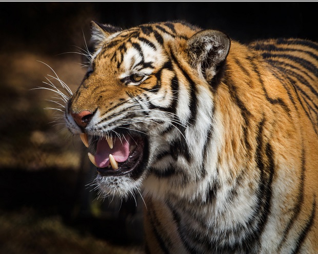 Portfoliocheck: Tiger Cub Steve Mandel nutzt bei dieser Aktie den Kurssturz zum Einstieg - Milliardenumschichtungen auf der Tagesagenda!