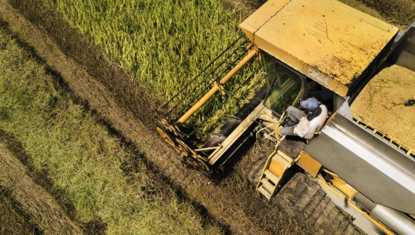 Investing in Landwirtschaft: …ab auf den Traktor: 5 Stocks für 2021 und darüber hinaus!
