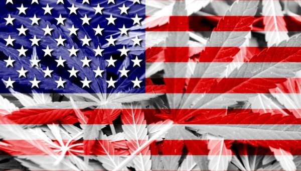 Cannabis-Branche - Sehen wir ein massives Comeback der stark gebeutelten Cannabis-Aktien, falls Biden der neue US-Präsident werden sollte?