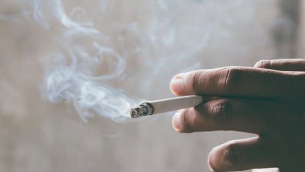 Drei Tabakunternehmen im Qualitätscheck