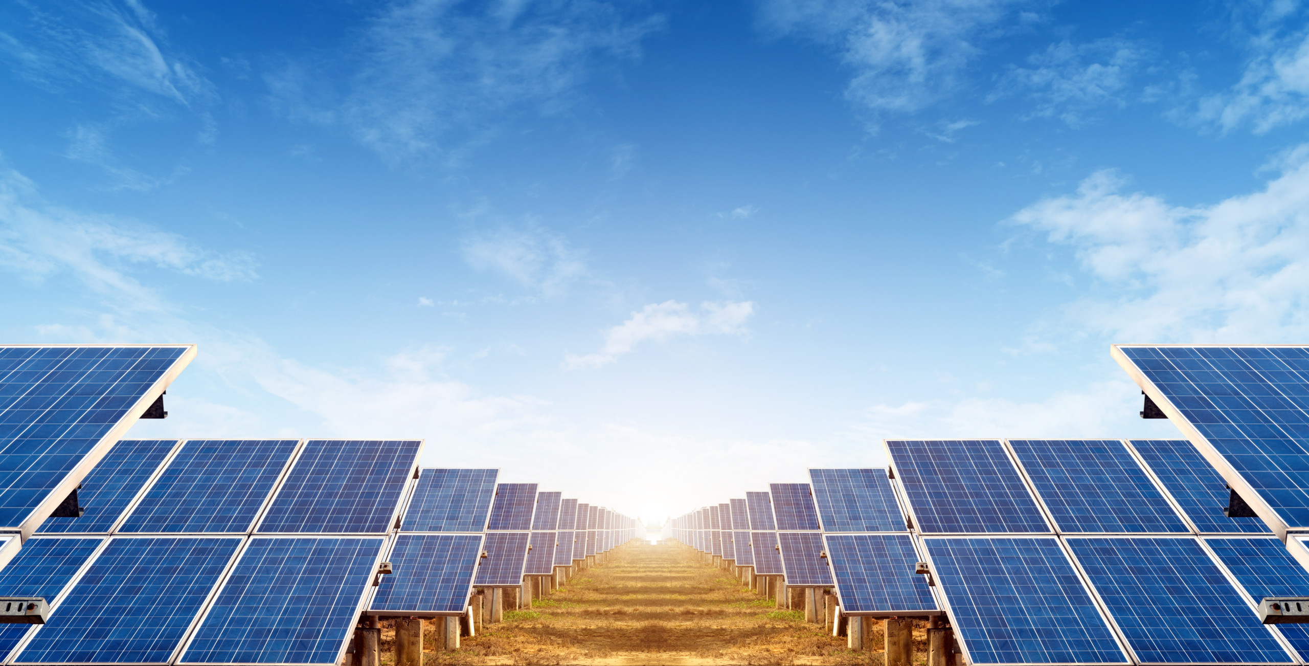 Internationale Energieagentur warnt vor chinesischer Dominanz im Solarsektor