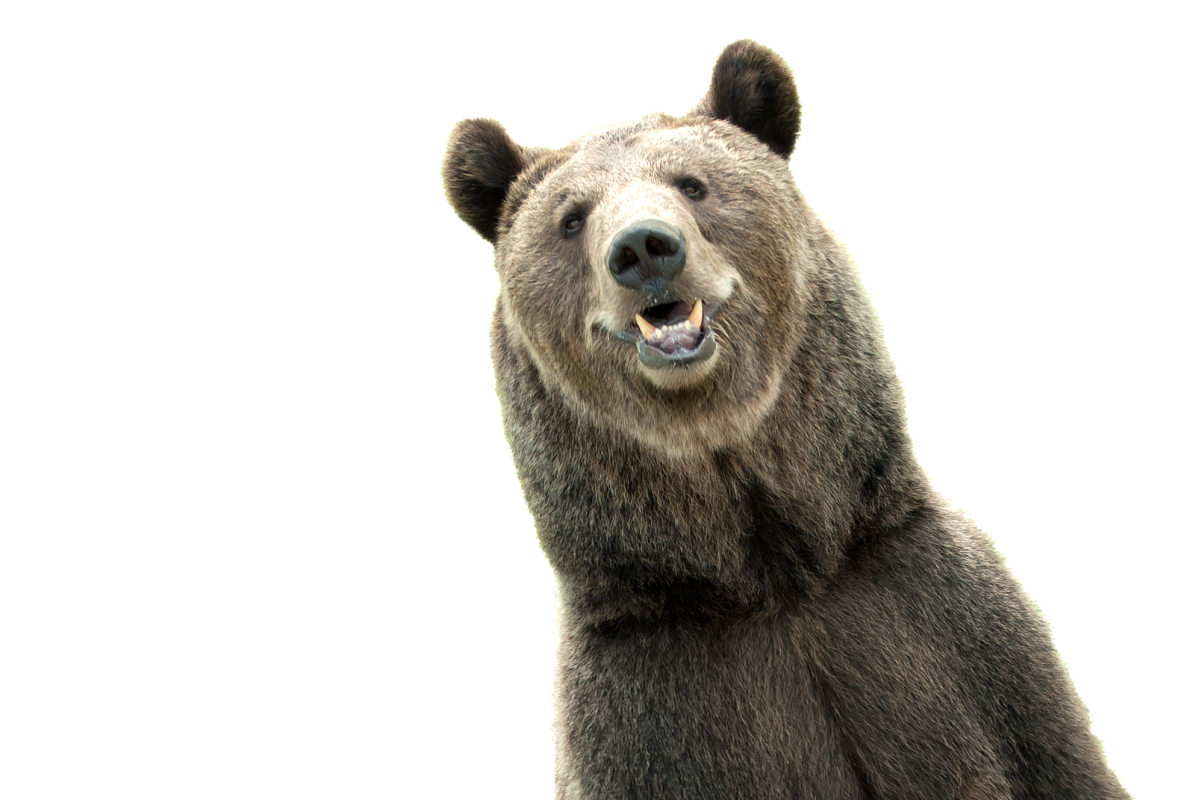 DAX im Bärenmarkt: Diese vier Gründe sprechen für einen weiter fallenden deutschen Aktienleitindex