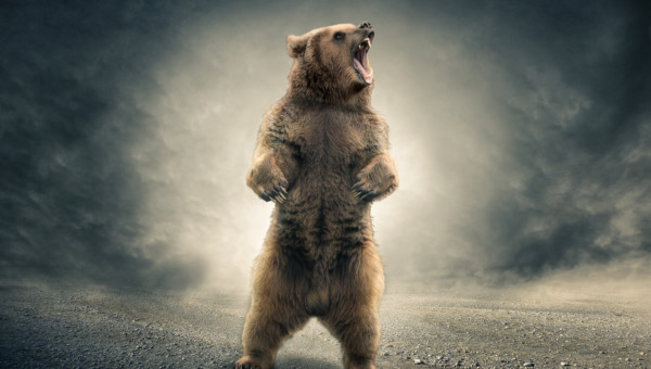 Morgan Stanley erwartet steile Bärenmarktrally
