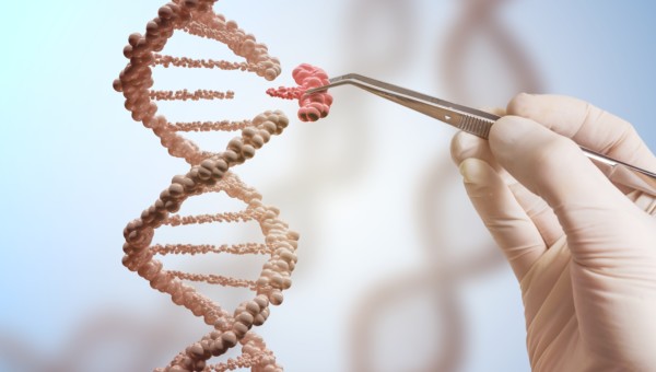 CRISPR Therapeutics Aktie um 15% gestiegen: Investment-Analysten sehen großes Potenzial für innovative Genbearbeitungstechnologie