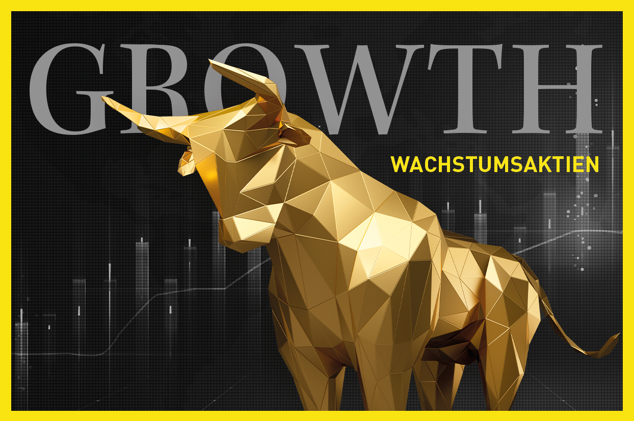 Interactive Brokers: Profiteur höherer Zinsen?  